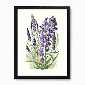 Lavender Floral 2 Botanical Vintage Poster Flower Art Print