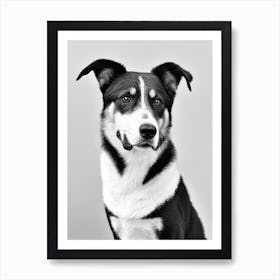 Beauceron B&W Pencil Dog Poster