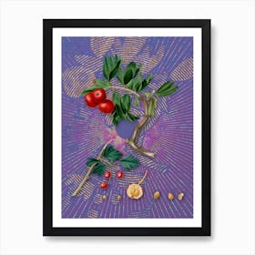 Vintage Red Thorn-Apple Botanical Illustration on Veri Peri n.0855 Art Print