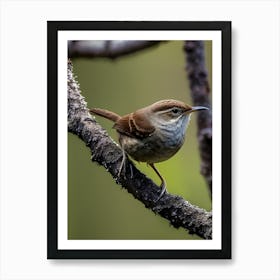 House Wren -Reimagined 19 Art Print