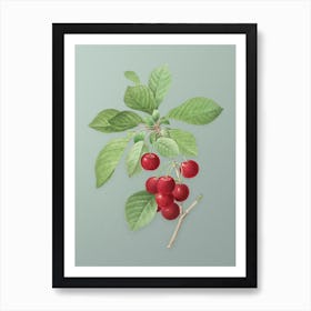 Vintage Cherry Botanical Art on Mint Green Art Print