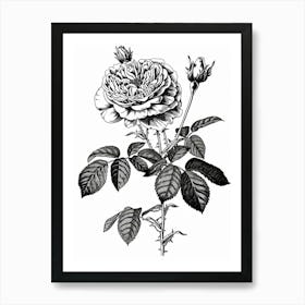 Black And White Rose Line Drawing 11 Art Print