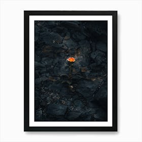 Single Flower In The  Black Sand Poster