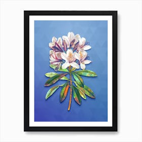 Vintage Common Rhododendron Botanical Art on Blue Perennial Art Print