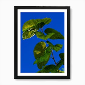 Blue Sky With Green Leaves 20230930160017pub Art Print