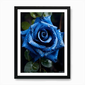 Blue Rose 9 Art Print