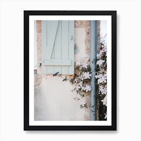 Ivy pink flowers old wall countryside | France Art Print