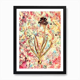 Impressionist Arabian Starflower Botanical Painting in Blush Pink and Gold Art Print