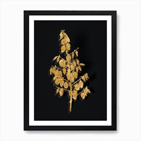 Vintage Adam's Needle Botanical in Gold on Black n.0451 Art Print