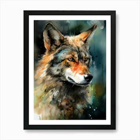 Coyote animal Art Print