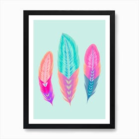 Colorful Feathers 2 Art Print