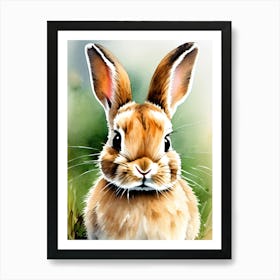 Rabbit In The Grass Watercolor Art Print