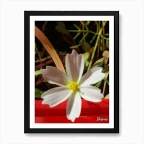 White Flower 1 Art Print