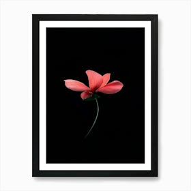 Single Pink Flower On Black Background 6 Art Print