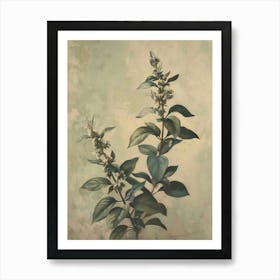 Vintage Botanical Print, Sage Green Flowers Still Life, Antique Flower Art, Muted Floral Botanical Print, Vintage Floral Decor, Printable Art Print
