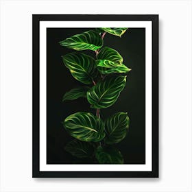 Fern Leaves On A Black Background Art Print