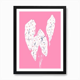 The Plant Series Begonia Maculata Pink Art Print