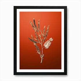 Gold Botanical Swamp Paperbark Branch on Tomato Red n.4631 Art Print