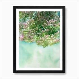 Acropora Rongelapensis Storybook Watercolour Art Print