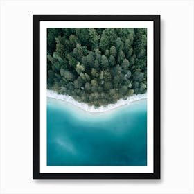 Calm Lake And Forest From Above Art Print