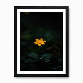 Yellow Flower In The Dark 6 Art Print