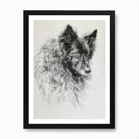 Belgian Sheepdog Line Sketch 3 Art Print