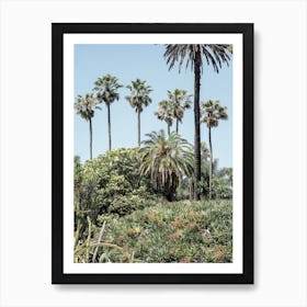 Collectors Garden Art Print