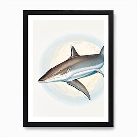 Galapagos Shark 2 Vintage Art Print