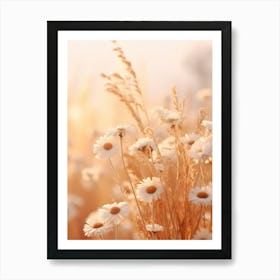 Boho Dried Flowers Oxeye Daisy 3 Art Print