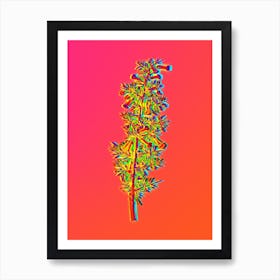 Neon Kraal Honey Thorn Botanical in Hot Pink and Electric Blue n.0259 Art Print
