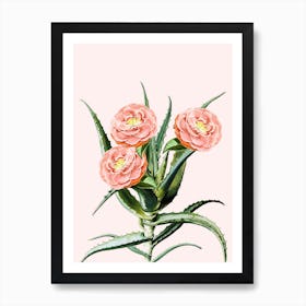 Blush Cactus V2 In Art Print