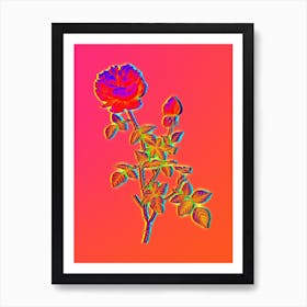 Neon Pink Autumn China Rose Botanical in Hot Pink and Electric Blue n.0499 Art Print