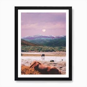 Peaceful Evening In The Nature With Horses Art Print