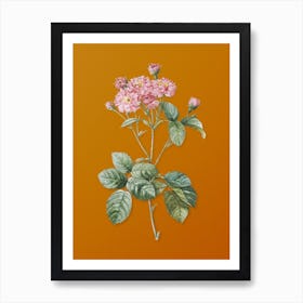 Vintage Pink Rosebush Botanical on Sunset Orange n.0413 Art Print