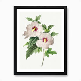 Hibiscus From Choix Des Plus Belles Fleurs, Pierre Joseph Redouté Art Print