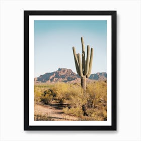 North Phoenix Desert Art Print