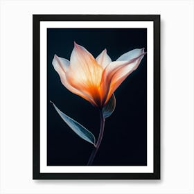 Tulip 5 Art Print