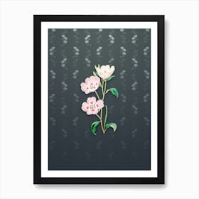 Vintage Pink Oenothera Flower Botanical on Slate Gray Pattern n.0936 Art Print