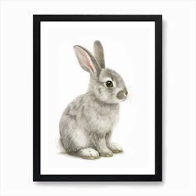 Chinchilla Rabbit Kids Illustration 3 Art Print