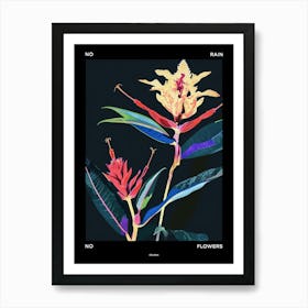 No Rain No Flowers Poster Celosia 2 Art Print