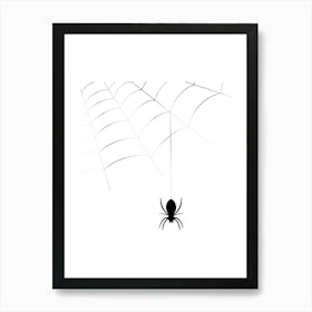 Spider On A Web Art Print