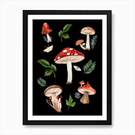 Mushrooms And Leaves Art Print