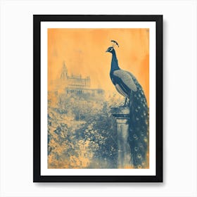 Orange & Blue Peacock With Palace In The Background 1 Art Print