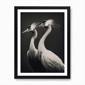 Cranes Monocrome Art Print