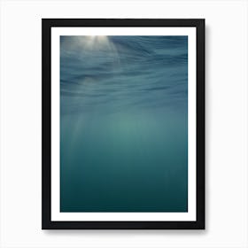 Under The Sea 43 Art Print