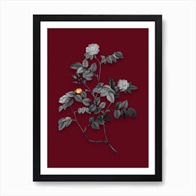 Vintage Sweetbriar Rose Black and White Gold Leaf Floral Art on Burgundy Red Art Print