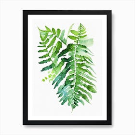 Southern Maidenhair Fern 1 Watercolour Art Print