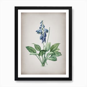 Vintage Daylily Botanical on Parchment n.0409 Art Print