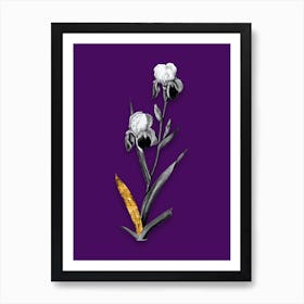 Vintage Elder Scented Iris Black and White Gold Leaf Floral Art on Deep Violet n.1046 Art Print