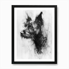 Belgian Laekenois Charcoal Line Art Print